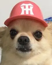 大園さん