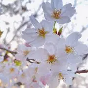 ソルら プロフ読んでください