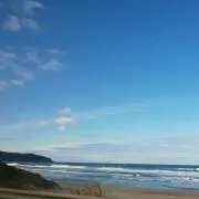 まうの画像