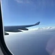 ににの画像
