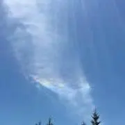 やすやす