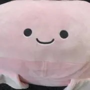 nannanの画像
