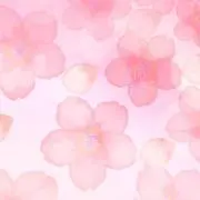 mocomoca.の画像