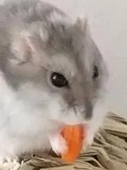 うりゃ