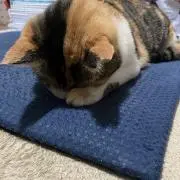 なおやんの画像