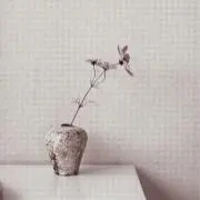 Y.の画像