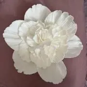 putty