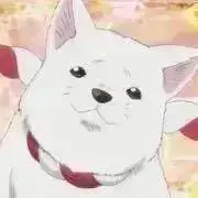 suukiddsの画像
