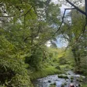 WHOの画像