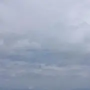 やーさんの画像