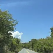 マリル(まとめ割りします◎の画像