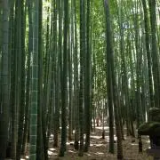 きょう