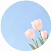 すいの画像