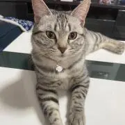シュガー⭐︎全品値下げ中の画像