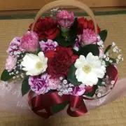 ひまわりの画像