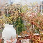 ちくわの画像