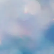 クリスの画像
