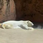 きらち
