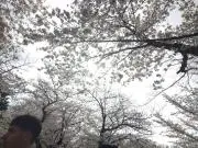 miuchiの画像