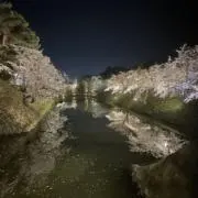 わだいの画像