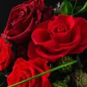 ミーイわ