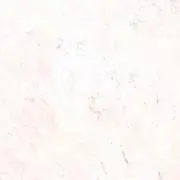 ありんこの画像
