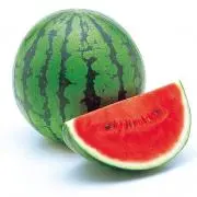 まっちょめんの画像