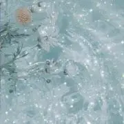 わにの画像