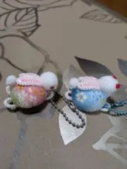 ちゃーまよ