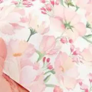 ようこの画像