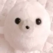 ハチワレの画像
