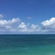 ポリンキー