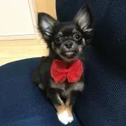 Sの画像