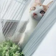 大ちゃん