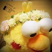 ぽん