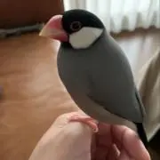 もん ※プロフィール必読の画像