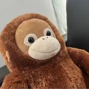 ゆんの画像