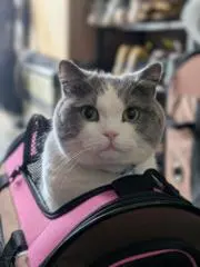 あ～みん(*^-^)の画像