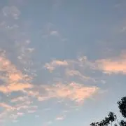 Lisaの画像