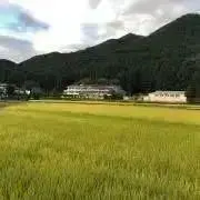 ワトソン
