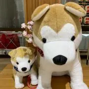 エリーの画像