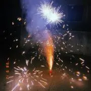 トトロの画像