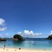 yumitan14の画像