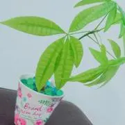 ＹＵＫＩ♪の画像