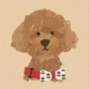 いろはの画像