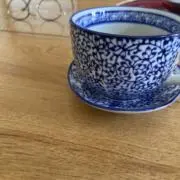 みけの画像