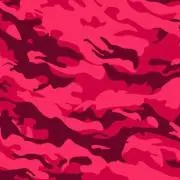 シェイクの画像