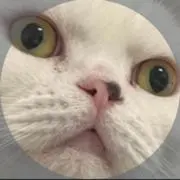 gatekeepinghommeの画像