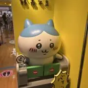 キッカの画像