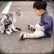 suzukoの画像